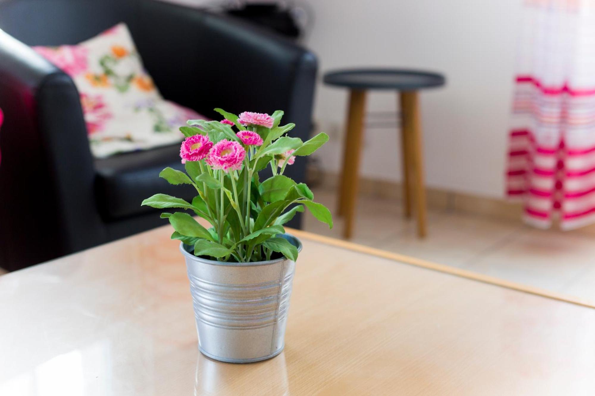 Apartament F3 - Proche De Disney - Bussy-Saint-Georges Zewnętrze zdjęcie
